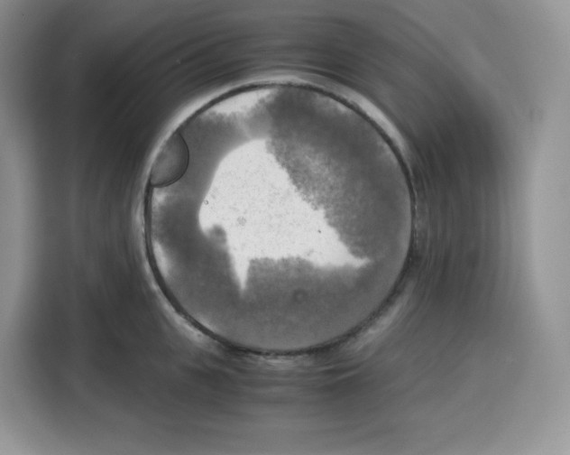 X0000115100951200911241231