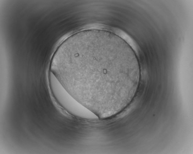 X0000115100954200911241231