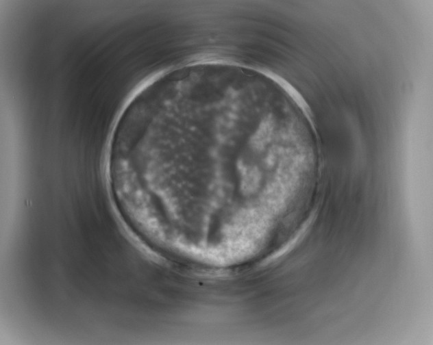 X0000115100957200911241231