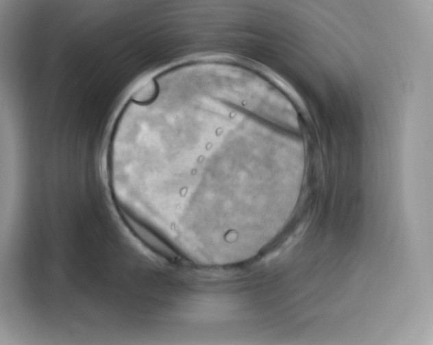 X0000115100959200911241231