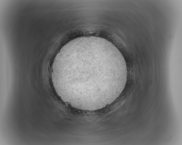 X0000115100961200911241230