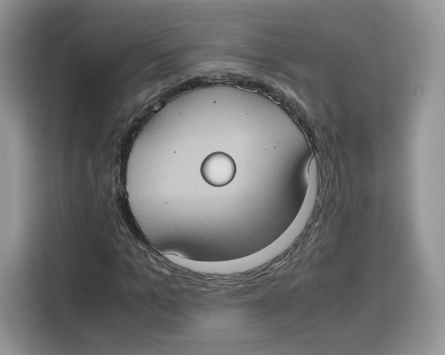 X0000115100965200911241230