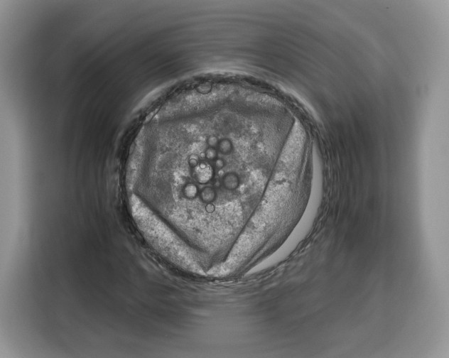 X0000115100968200911241230