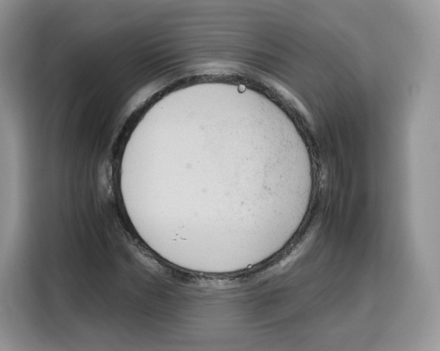 X0000115100970200911241230