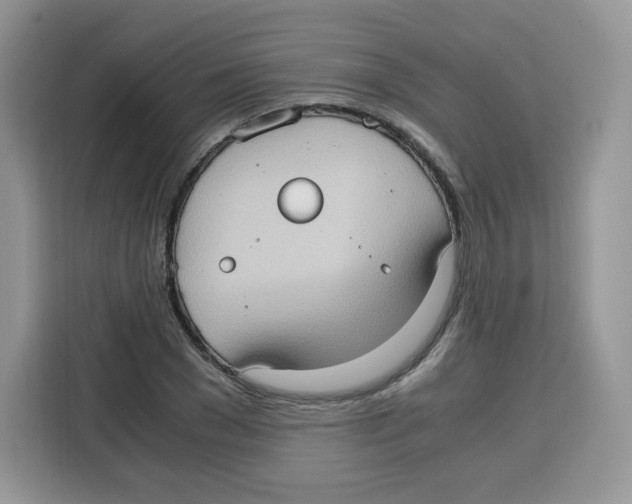 X0000115100977200911241230