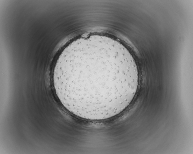 X0000115100978200911241230