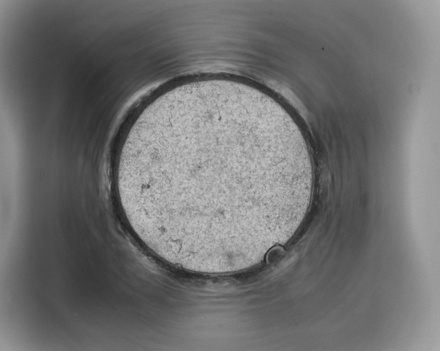 X0000115100979200911241230