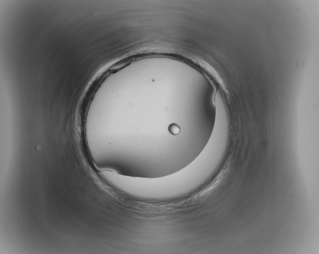 X0000115100981200911241230