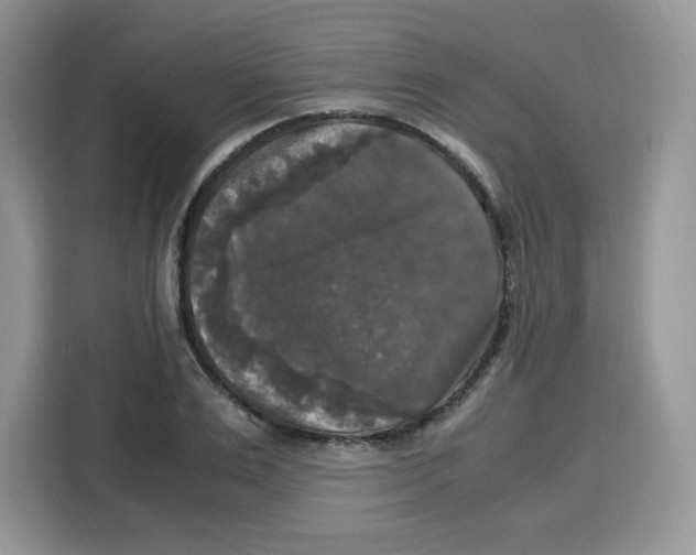 X0000115100983200911241230