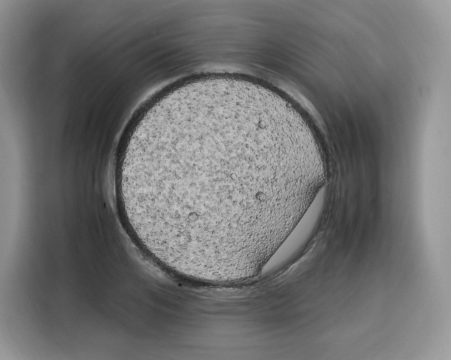 X0000115100984200911241230