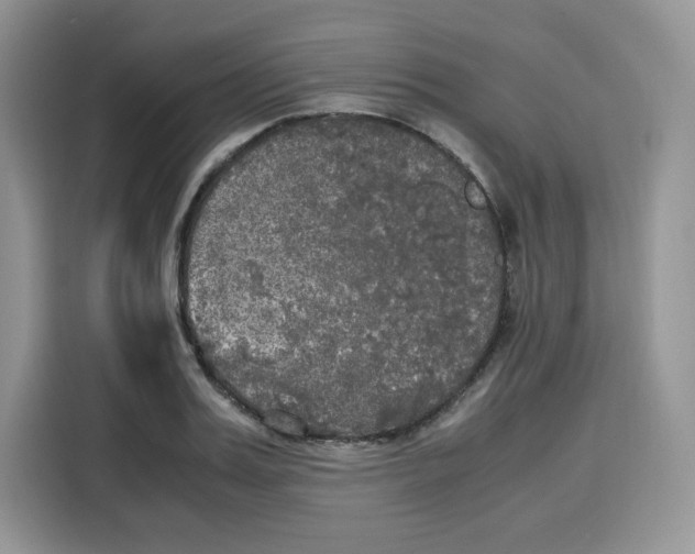 X0000115100987200911241230