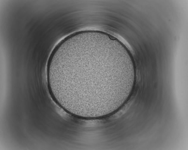 X0000115100988200911241230