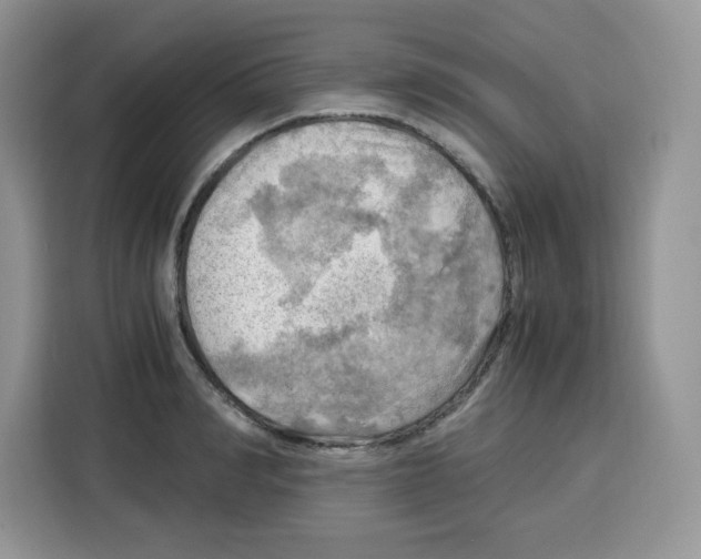 X0000115100990200911241230