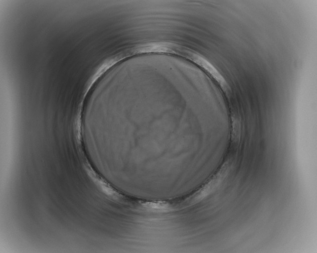 X0000115100994200911241230