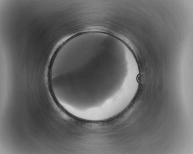 X0000115100995200911241230