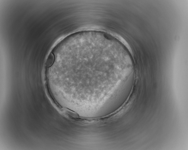 X0000115100997200911241230