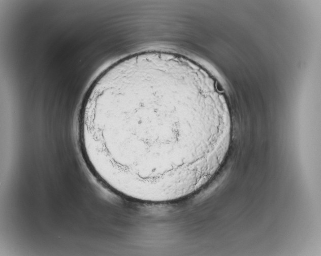 X0000115100999200911241230