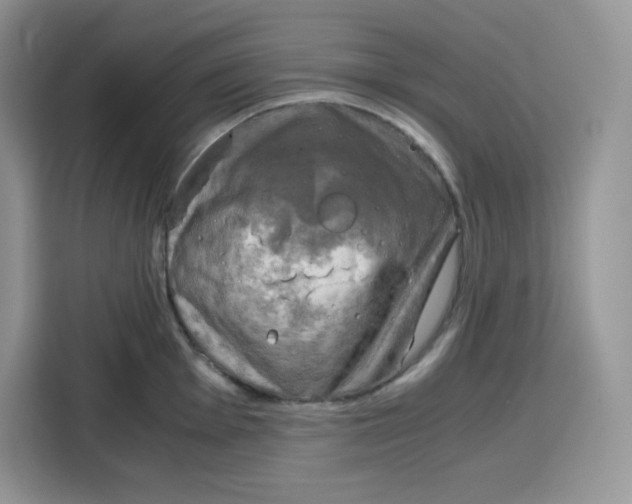 X0000115101001200911241230