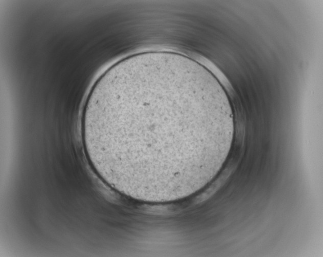 X0000115101004200911241230