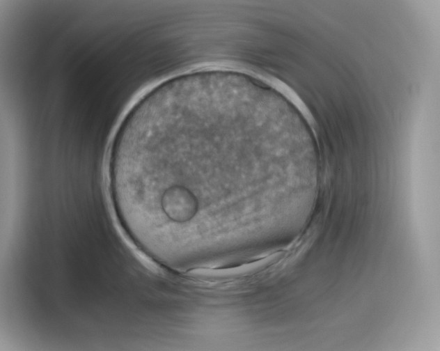 X0000115101005200911241230