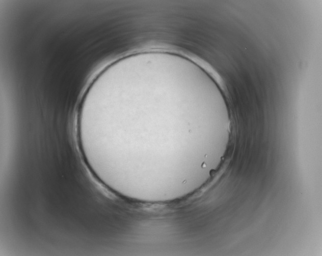 X0000115101006200911241230