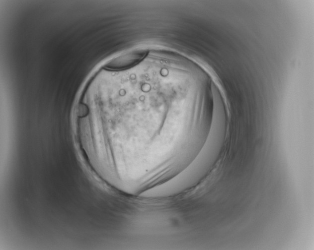 X0000115101008200911241230