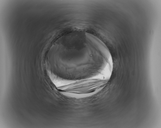 X0000115101009200911241229