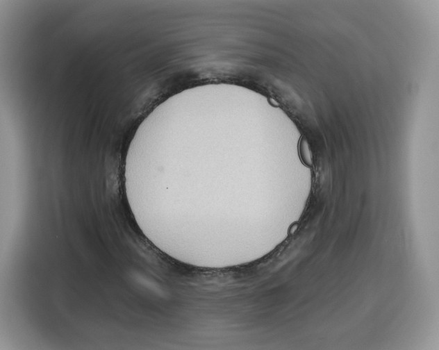 X0000115101012200911241229