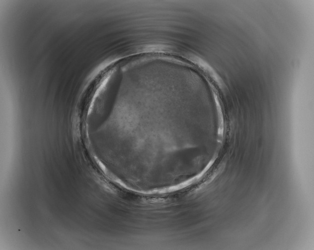 X0000115101019200911241229