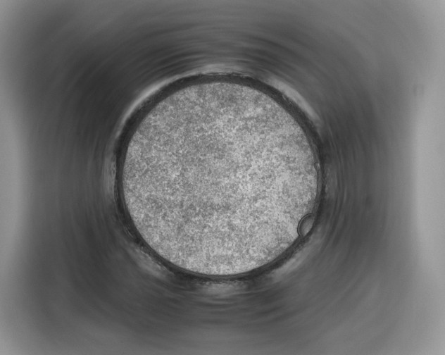 X0000115101021200911241229