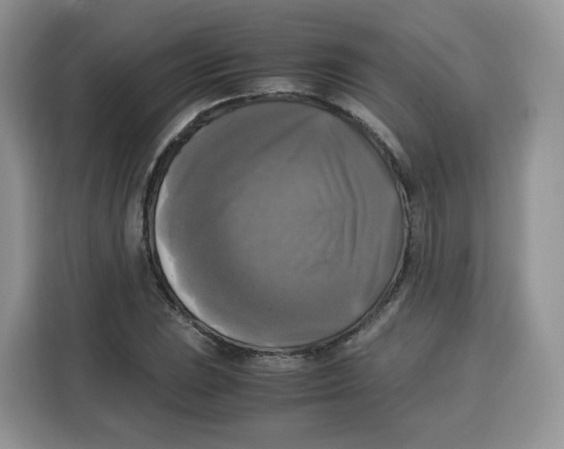 X0000115101023200911241229