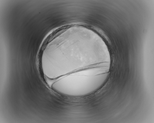 X0000115101024200911241229