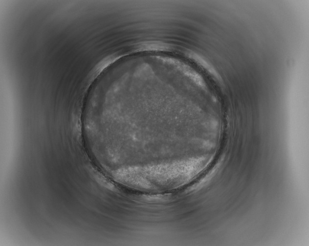 X0000115101025200911241229