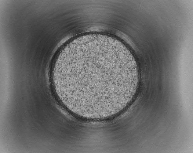 X0000115101026200911241229