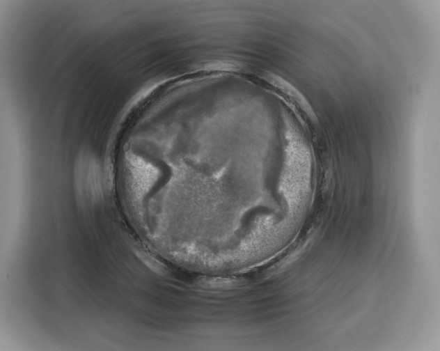 X0000115101027200911241229