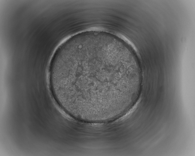 X0000115101029200911241229