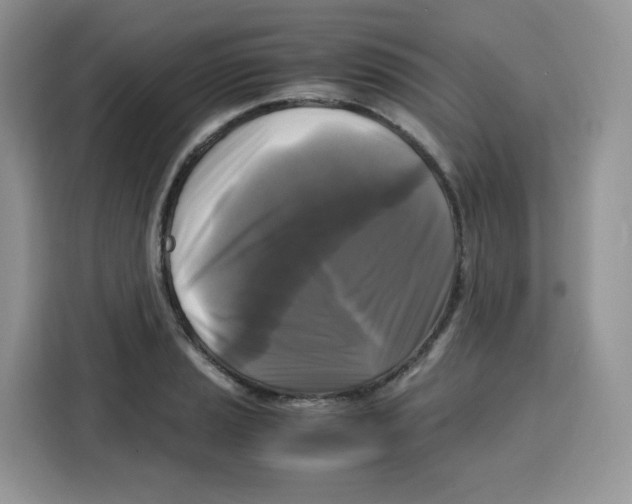 X0000115101037200911241229