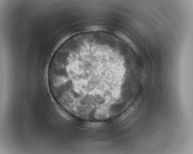 X0000115101039200911241229