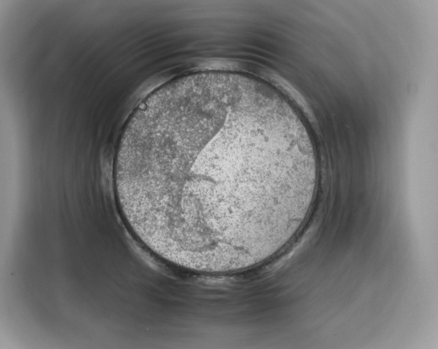 X0000115101041200911241229