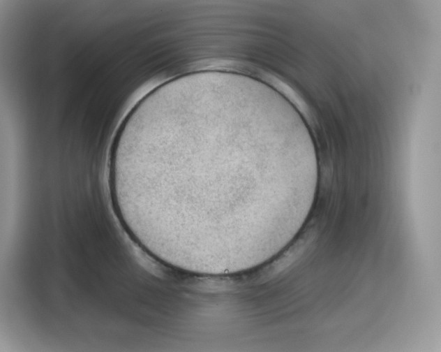 X0000115101050200911241230