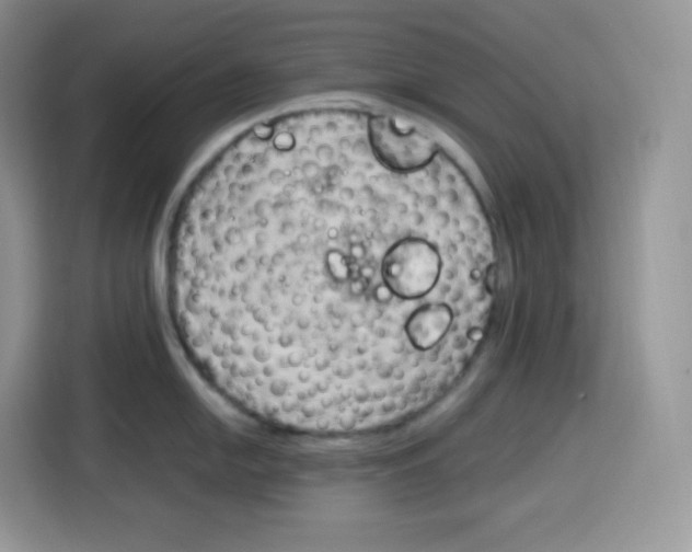 X0000115101054200911241230