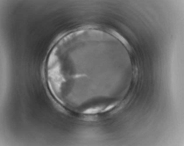 X0000115101055200911241230