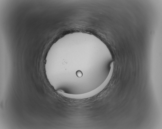 X0000115101057200911241229