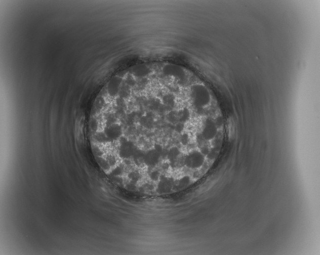 X0000115101059200911241229