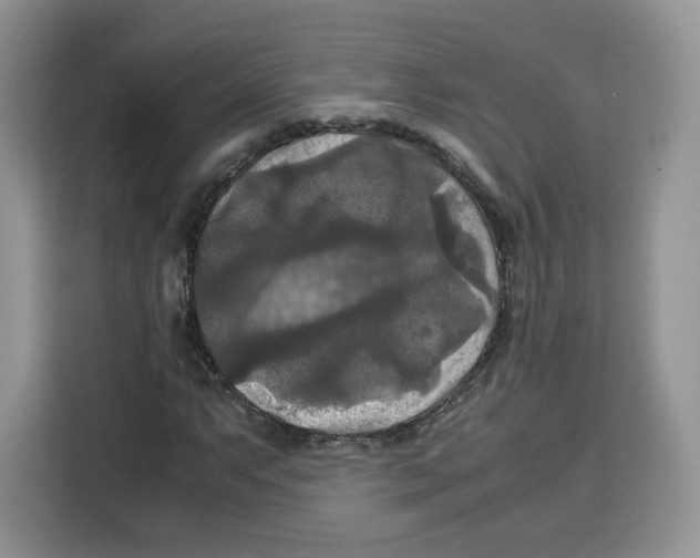 X0000115101063200911241229