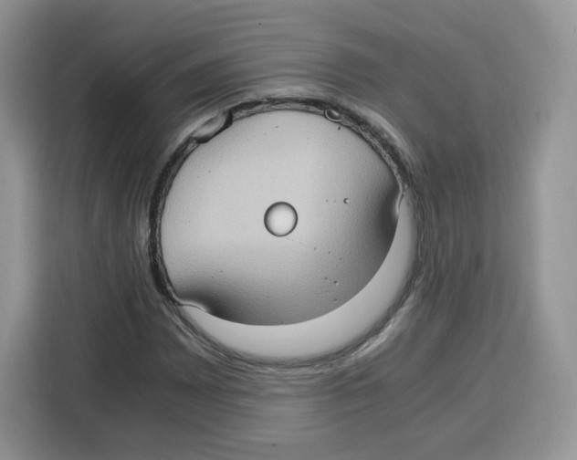 X0000115101065200911241229