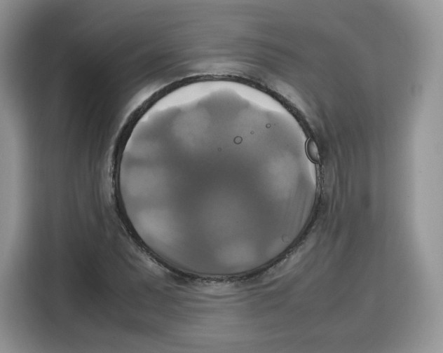 X0000115101071200911241229