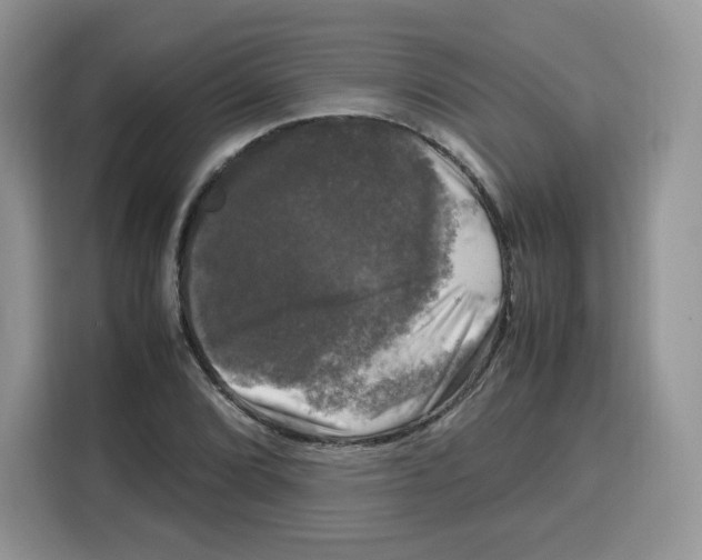 X0000115101072200911241229