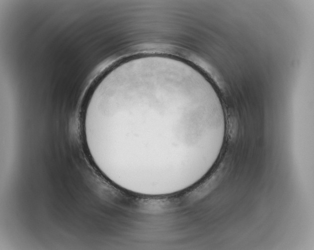 X0000115101074200911241229