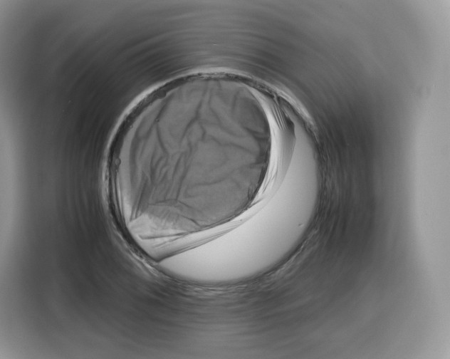 X0000115101076200911241229